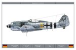 Fw190A8_R2_2_JG4_Dev.jpg