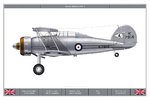 Gladiator_Mk1_80Sqn_Dev.jpg