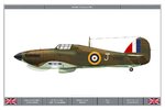 Hurricane_Mk1_127Sqn_Dev.jpg