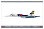 Su27B_Russian_Knights_Dev.jpg