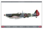 Spitfire_IXc_127Sqn_Dev.jpg