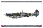 Spitfire_LF_XVI_127Sqn_1_Dev.jpg