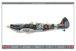Spitfire_LF_XVIe_127Sqn_Dev.jpg