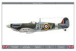 Spitfire_Vc_453Sqn_Dev.jpg