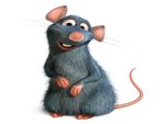 Ratatouille (1).jpg