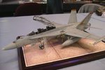 1_48_MOD_Jet_F-18_6836.jpg
