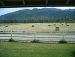 pasture -june 2006 006.jpg
