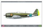 P47D25_Brazil_Dev.jpg