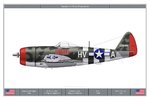 P47D25_61FS_Dev.jpg