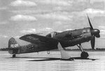 fw190d_1.jpg