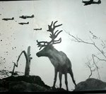 Hurri and deer.jpg