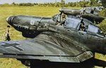 Ju87Dcolor1big.jpg