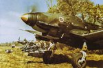 Ju87Dcolor2big.jpg