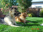 Picture 015i.jpg