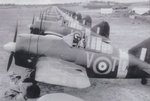 453sqnRAAF.jpg
