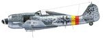 Fw190A9_2_JG301_Camo1.jpg