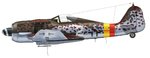 Fw190A9_2_JG301_Camo2.jpg