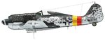 Fw190A9_2_JG301_Camo3.jpg