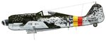 Fw190A9_2_JG301_Camo4.jpg