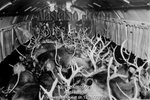 Alaskastock_700TS_DA0035_001.jpg