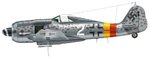 Fw190A9_2_JG301_Camo5.jpg