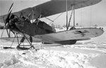 U-29.jpg