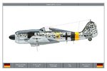 Fw190A9_3_JG5_Dev.jpg