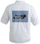 p-38back.jpg