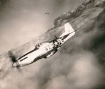 354 WRB_Bradley_414293 [marshall}.jpg
