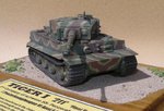 Tiger_I_8471.JPG