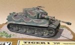 Tiger_I_8472.JPG