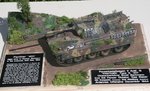 Panther_401_1563a.jpg