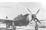 358 YFU_Beetle_Roach_42-22490_7nov1943 [shewfelt].jpg