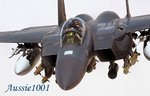 F-15E-Strike-EagleSig.jpg