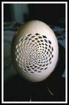 egg01.jpg