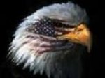 eagle.JPG
