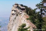 TEAHOUSE1.jpg