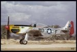 Maj. Silver's  ride.jpg