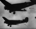 paras_279.jpg