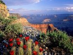 mountain_114.jpg
