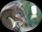 img_0410-2_200.jpg