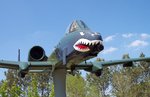 a-10__shark_443.jpg