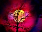 redsky_189.jpg