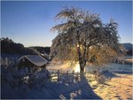 winter-sun_673.jpg