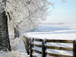 winter2_198.jpg