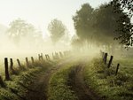 Misty Morning, Lower Saxony, Germany.jpg