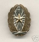 Japanese pilot badge.jpg