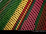 pictures_from_the_sky_29.jpg