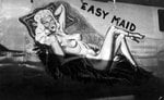 EASYMAID-V1-4.JPG