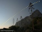 multisol_20051003w.jpg